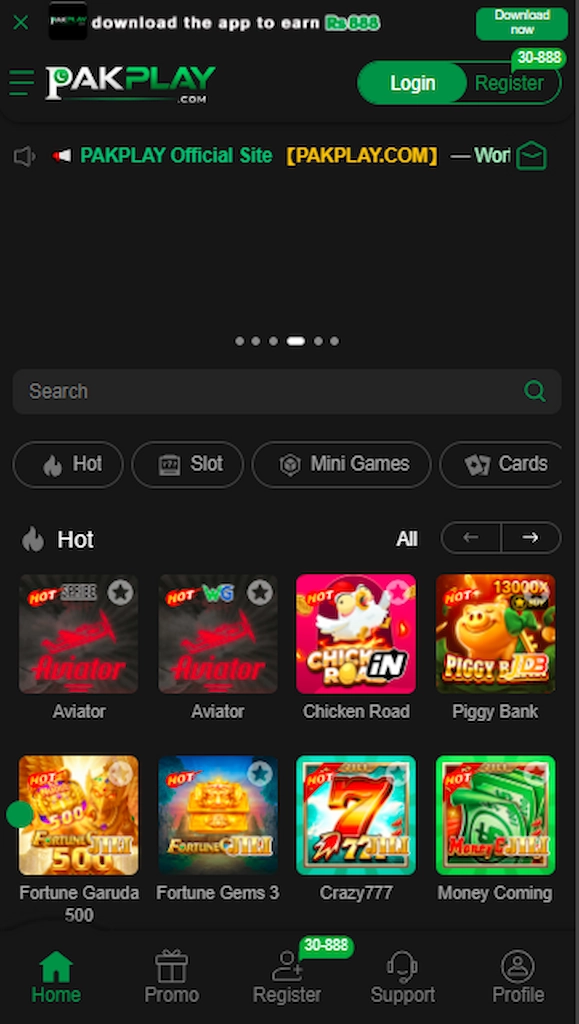 PAKPLAY Game